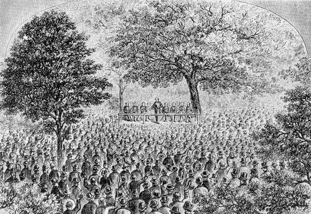 Under the Oaks Drawing